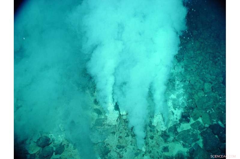 Rice University Team Develops Light-Activated Catalyst to Produce Olefins for Pharmaceutical and Agricultural Applications