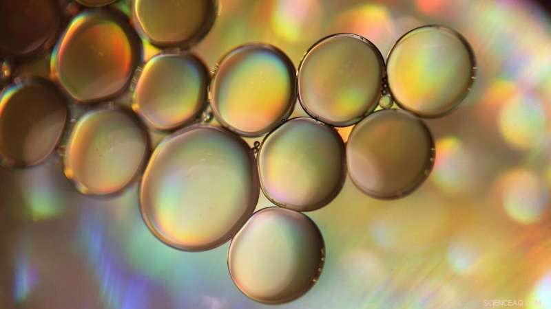 Micro‑Scale Bubbles on Electrodes Significantly Accelerate Chemical Processes