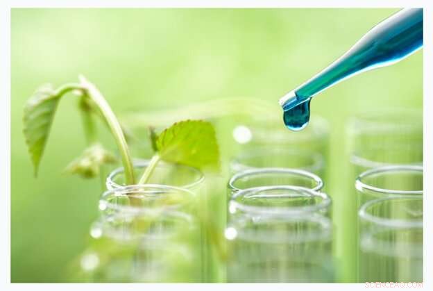 Revolutionary Urine‑Derived Fertilizer Paves Way for Sustainable Space Farming