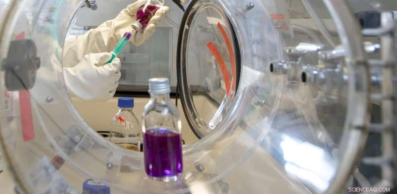 First‑Ever Biocatalytic Production of RNA Building Blocks Using YeiN Enzyme