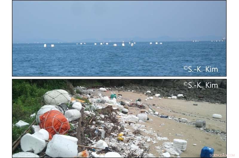 Marine Pollution: Understanding How Plastic Additives Dilute in Water and Their Health Risks