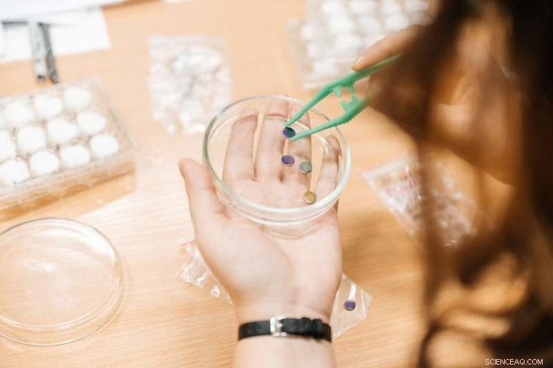 Xenon Boosts Durability and Biocompatibility of Maxillofacial & Orthopedic Implants