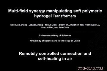 Magnetically Actuated Hydrogel Transformers for Smart Shape-Morphing Applications