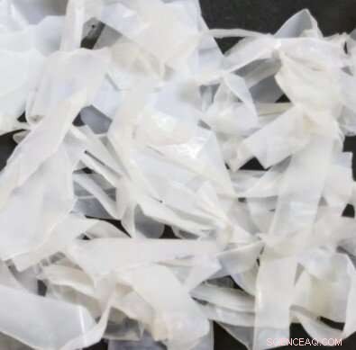 Industrial Waste Reimagined: Bacterial Cellulose Drives Sustainable Packaging