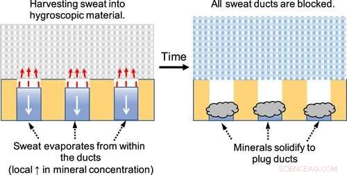 Metal‑Free Antiperspirants: Turning Sweat into a Smell‑Free Solution