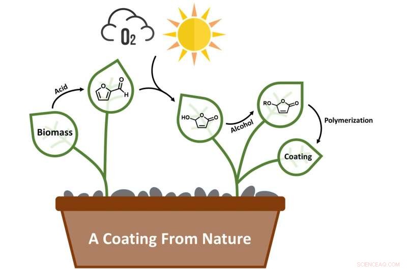 Eco-Friendly Coatings: Harnessing Nature Through Green Chemistry
