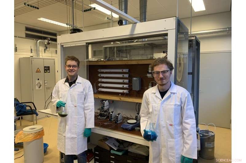 Eco-Friendly Coatings: Harnessing Nature Through Green Chemistry