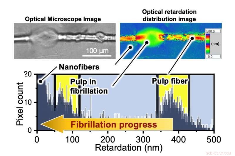 Quantifying Wood Pulp Slenderization to Enhance Fiber Quality