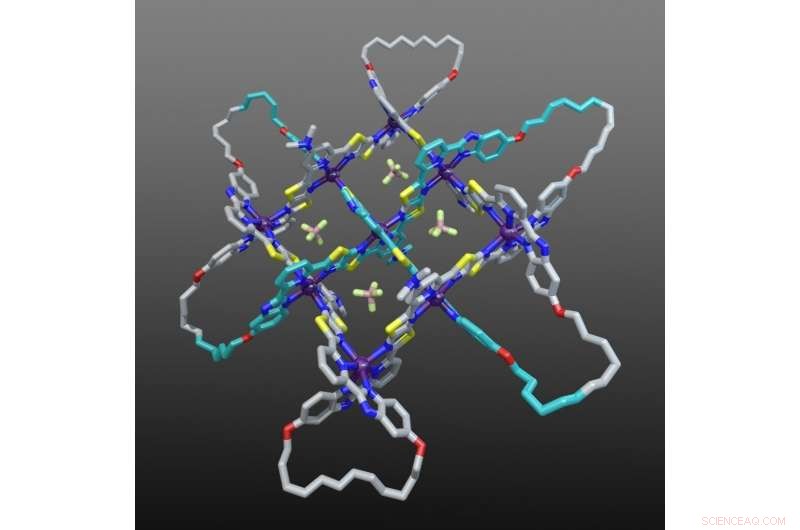 Scientists Unveil Novel Molecular Knot via X-ray Diffraction