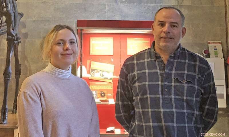 Trinity College Dublin Uncovers New Path to Rare Earth Mineral Formation, Boosting Green Energy and Smart Tech