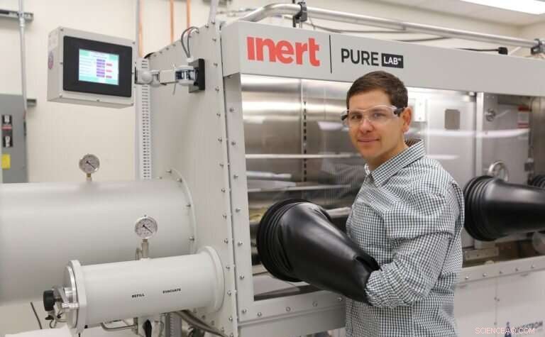 Engineers Uncover Molecular Basis of Cephalopod Adaptive Abilities