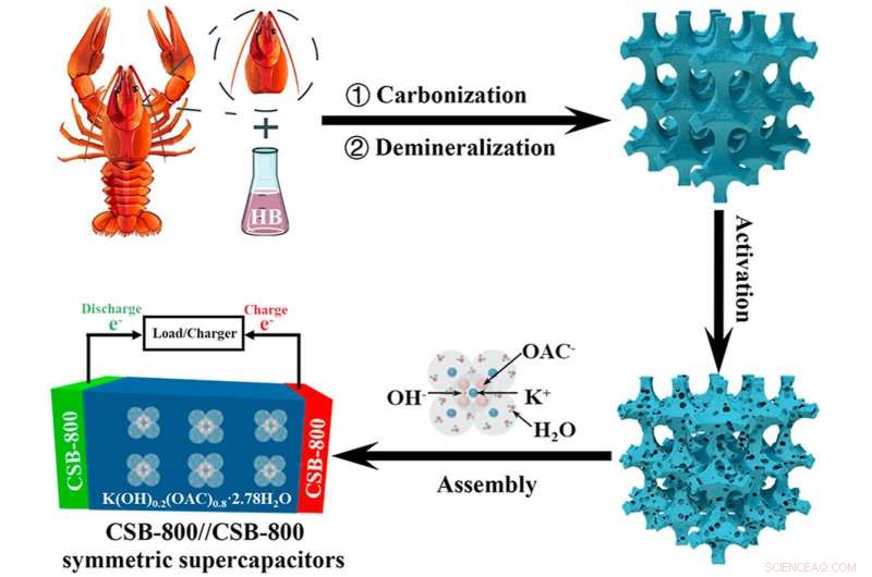 Transforming Crayfish Shells into Energy Storage: A Sustainable Innovation