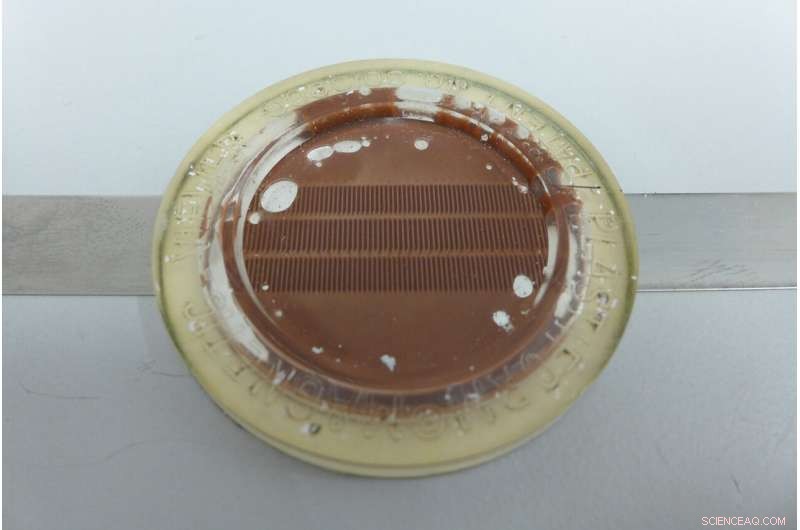 Advanced Hard‑Magnetic Coatings for High‑Precision Microscopy