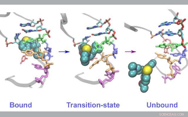 High‑Performance Computing Reveals Novel RNA Virus Treatment Pathways