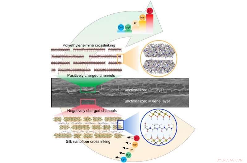 Bio-Inspired Nanochannel Membrane Enhances Lithium-Ion Extraction Efficiency