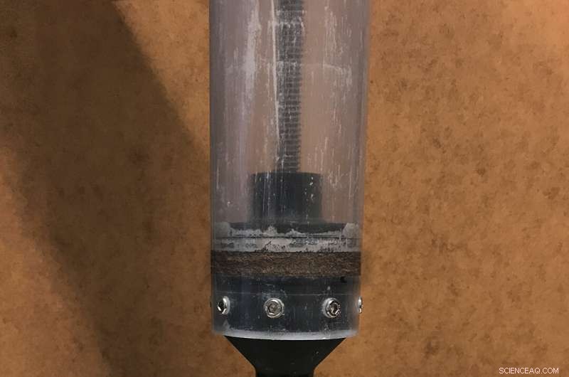 Harnessing Mycelium: Fungus as an Innovative Sound Absorber