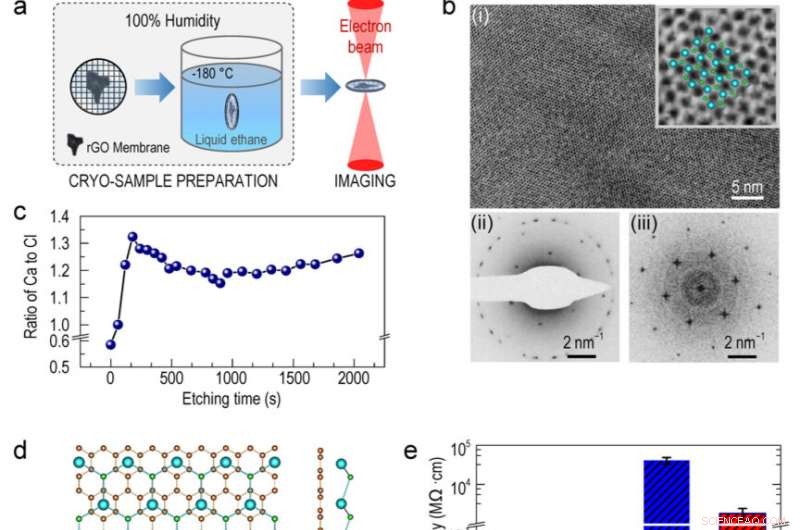Monovalent Calcium Ion Reveals Unexpected Metallic and Ferromagnetic Properties