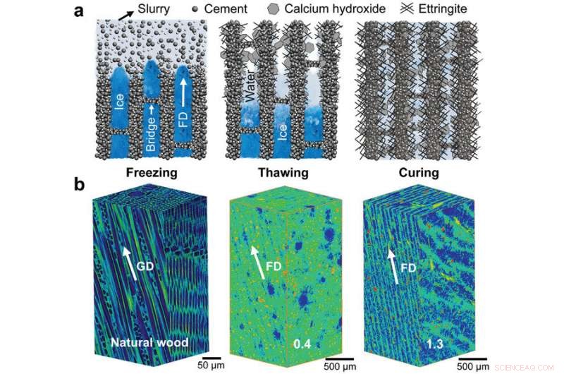 High-Strength, Multifunctional Wood-Inspired Cement for Advanced Construction