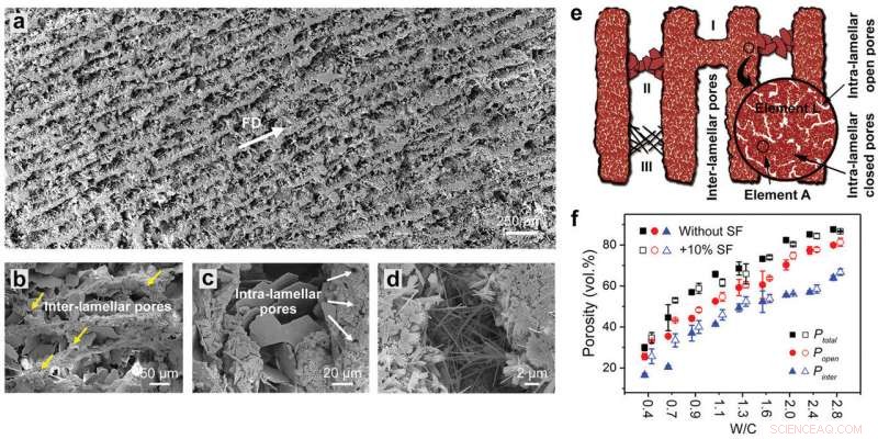 High-Strength, Multifunctional Wood-Inspired Cement for Advanced Construction