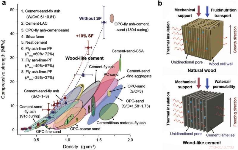 High-Strength, Multifunctional Wood-Inspired Cement for Advanced Construction