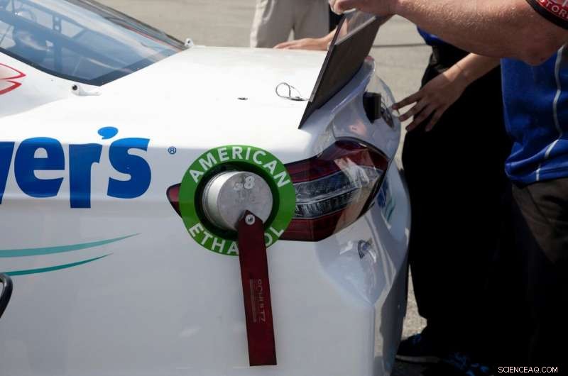 Scientists Unveil Cost‑Effective Method to Boost Plant‑Based Biofuel Production