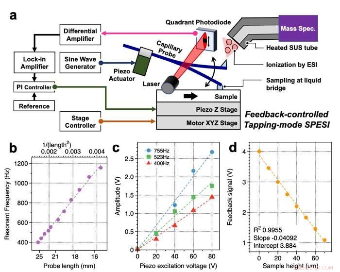 Diagnosing Brain Disorders with Mass Spectrometry Imaging: A Future Diagnostic Tool