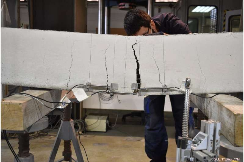 Carrot Cement: Harnessing Root Vegetables and Ash to Make Concrete Greener