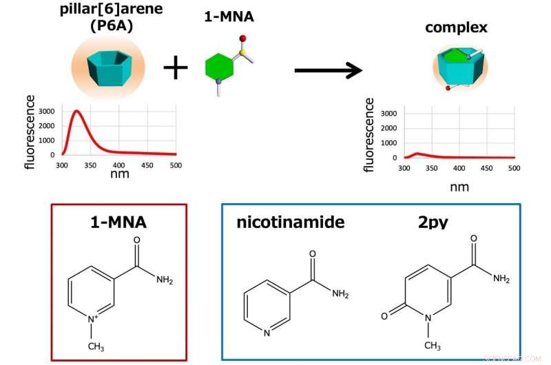 Pillar‑Shaped Molecules Serve as Precise Biosensors for Metabolite Detection