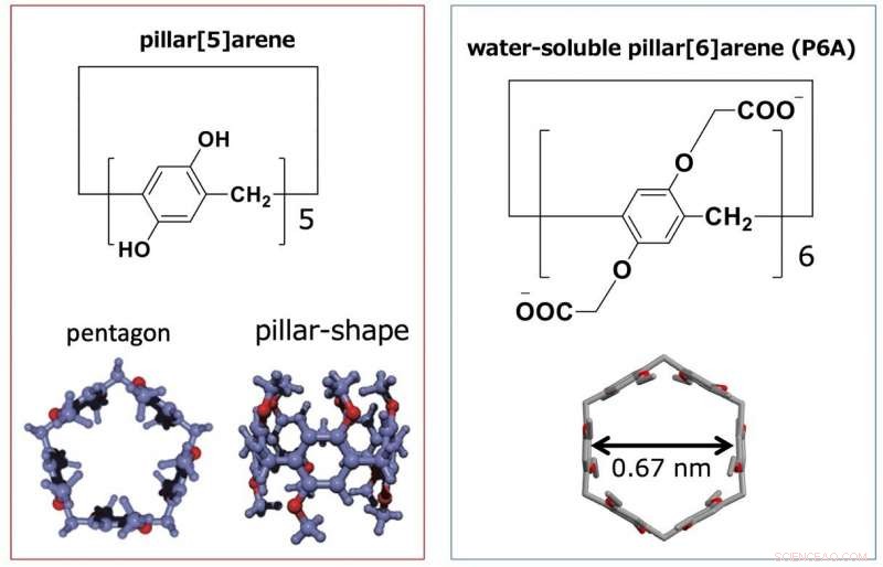 Pillar‑Shaped Molecules Serve as Precise Biosensors for Metabolite Detection