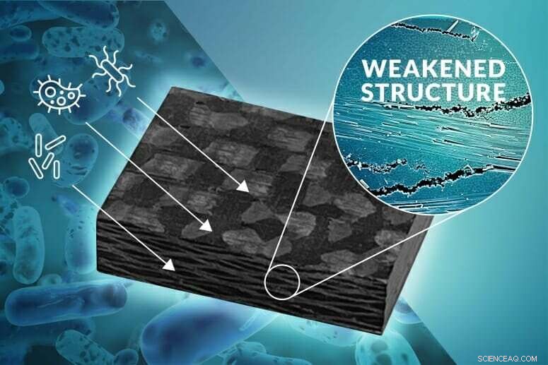 Common Microbes Collaborate to Degrade Polymer Composite Materials