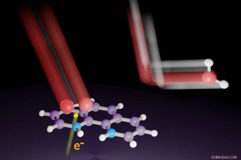 Sustainable Transportation: How Nitrogen Doping Enhances Fuel Cell Catalysts