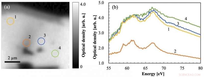 Advanced Scanning Transmission X-ray Microscopy for Lithium Chemical State Analysis