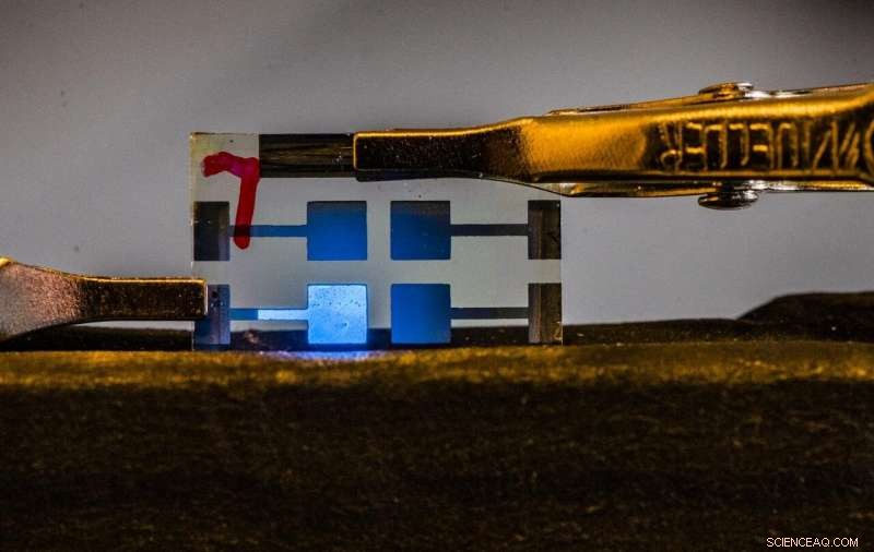 Linköping University Breaks Ground with Efficient Blue Perovskite LEDs