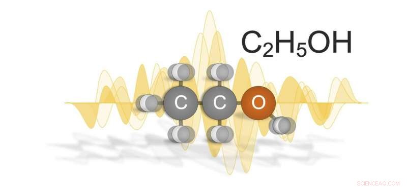 Alcohols Show Significant Quantum Effects in Electric Field Polarization