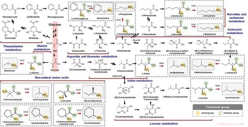 Extending Biosynthetic Pathways via Retrobiosynthesis for Novel Compound Production