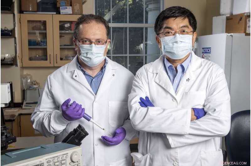 SMU Researchers Develop Faster, More Accurate Lab-on-a-Chip Antibody Test for COVID-19
