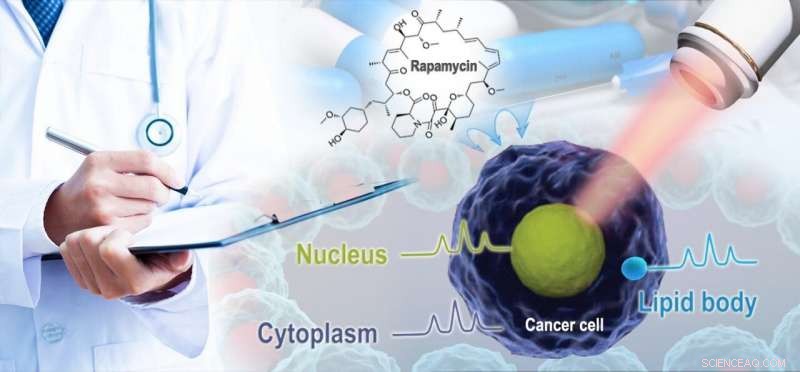 Single-Cell Test Reveals Exact Mechanisms of Drug-Induced Cancer Cell Death