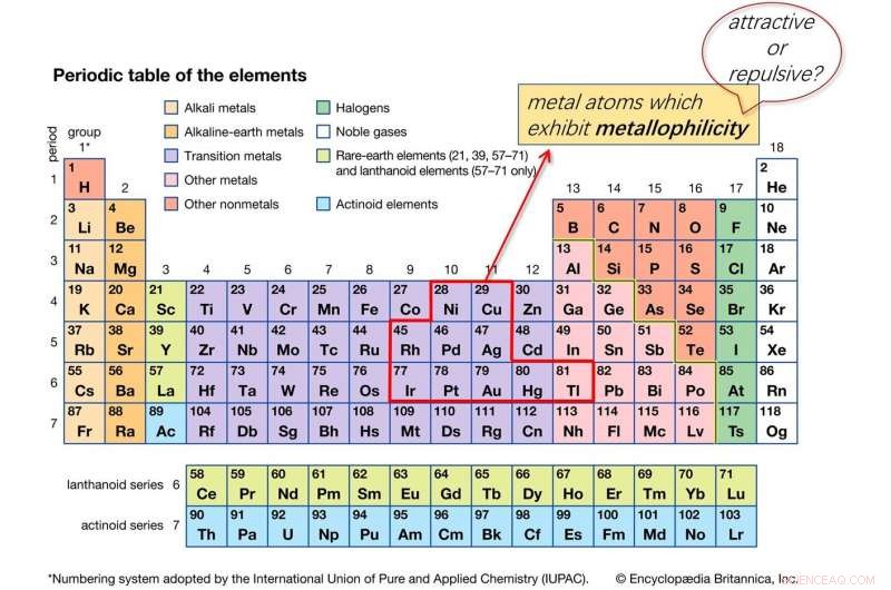 Strong M–M Pauli Repulsion Drives Repulsive Metallophilicity