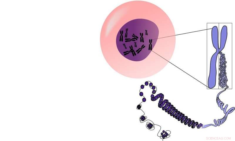 Sensei RNA: Strong Leadership, Gentle Touch