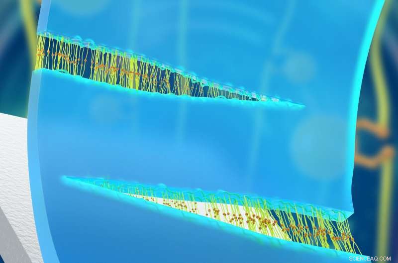 Unbreakable Buildings: ORNL s Self-Healing Elastomers Revolutionize Construction