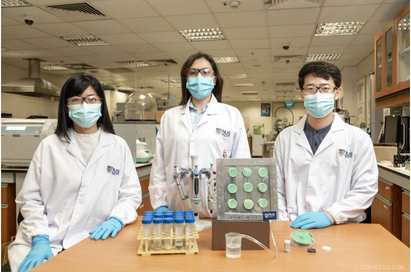 Revolutionary Aerogel Converts Ambient Air into Safe Drinking Water
