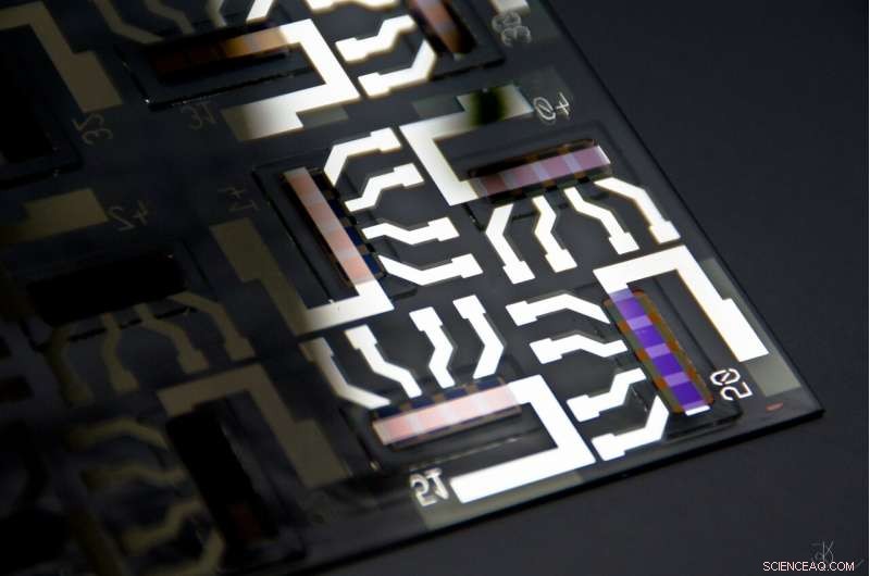 Enhancing Organic Photodetector Performance by Minimizing Charge Traps