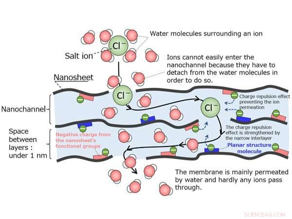 Innovative Membrane Engineered to Convert Seawater into Freshwater Efficiently
