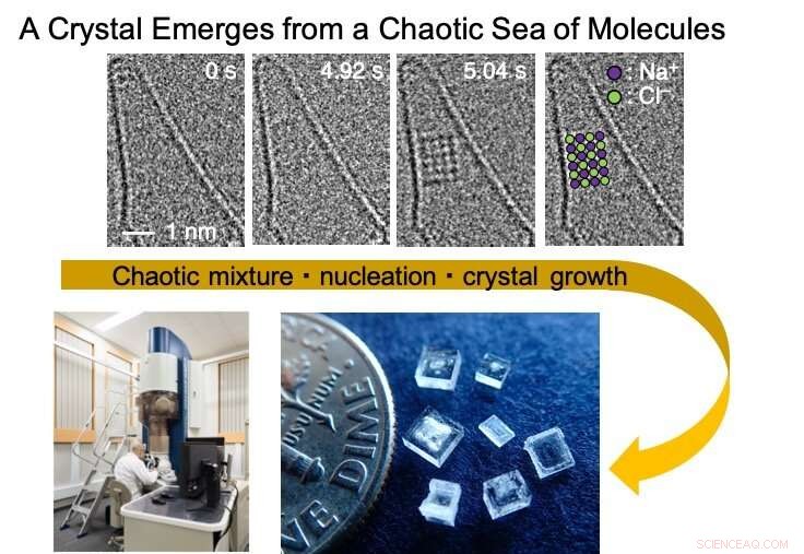 Unprecedented Atomic-Resolution Video Captures Real-Time Salt Crystal Formation