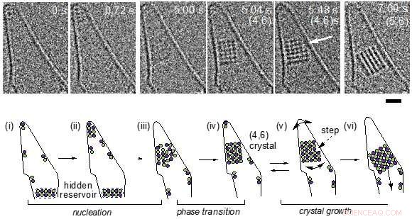 Unprecedented Atomic-Resolution Video Captures Real-Time Salt Crystal Formation