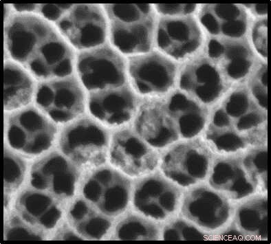 Harnessing Solar-Driven Nanomaterials for Efficient Green Hydrogen Production