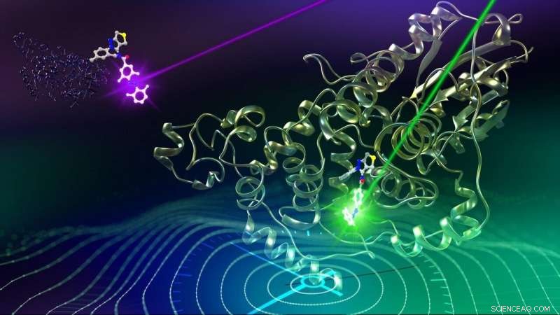 Pioneering Light-Responsive Azobenzene Enables Precise Circadian Clock Control