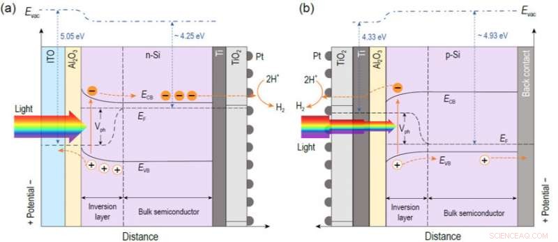 Optimizing Solar Water Splitting: Spatially Decoupled Light Absorption and Reaction Sites in n‑Si Photocathodes