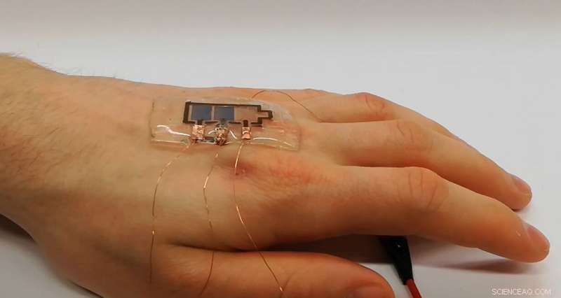 Scientists Pioneer Flexible, Biodegradable Printed Display for Sustainable Tech