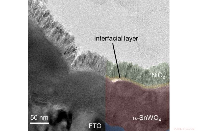 Advanced Photoanodes Drive High-Efficiency Solar Hydrogen Production